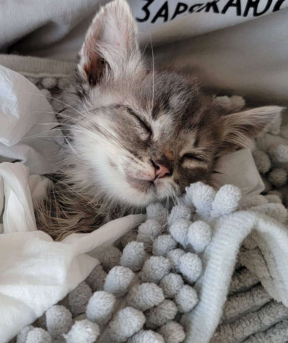 Клиника дала промежуточный счет нам с Сеней вместе с новостями, что к вечеру он бодрее и даже уже получил там прозвище Есенин) За 5 дней получилось 1495 бел.р. Также нам дали реквизиты ерип для оплаты, я их выложу ниже вместе с отчётом, если кто захочет помочь напрямую. Спасибо!