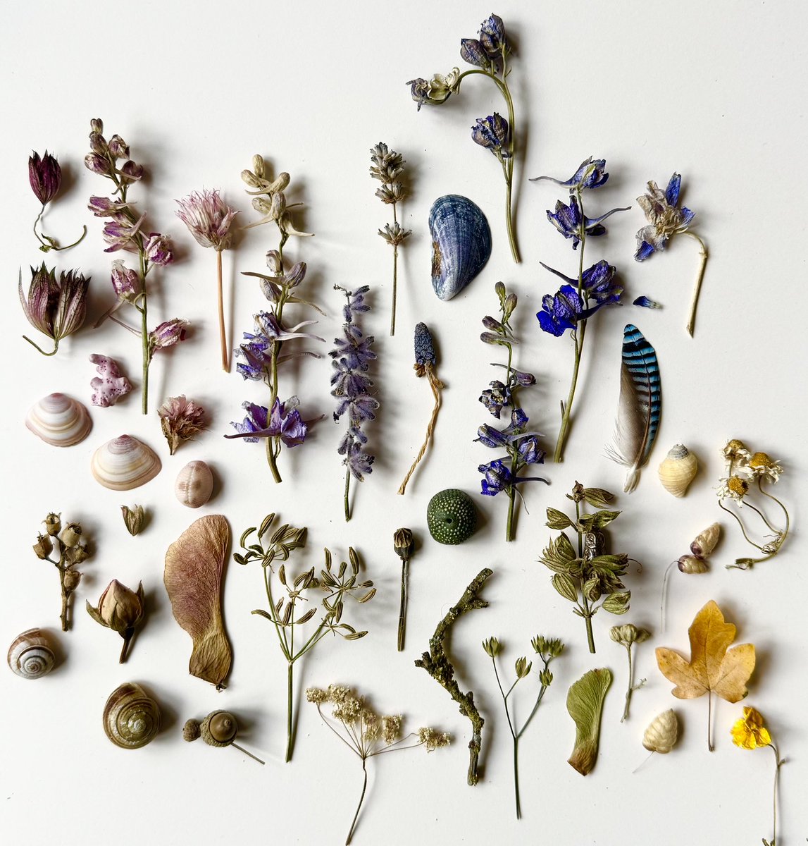 silverpebble's tweet image. My brain’s not well at all today-depression, but I made this photo to try to lift my dark thoughts &amp;amp; have hidden a tiny owl in it. If you find it &amp;amp;/or your brain likes this image maybe let me know below? Connecting with other humans is another way to lift very low mood 🌿