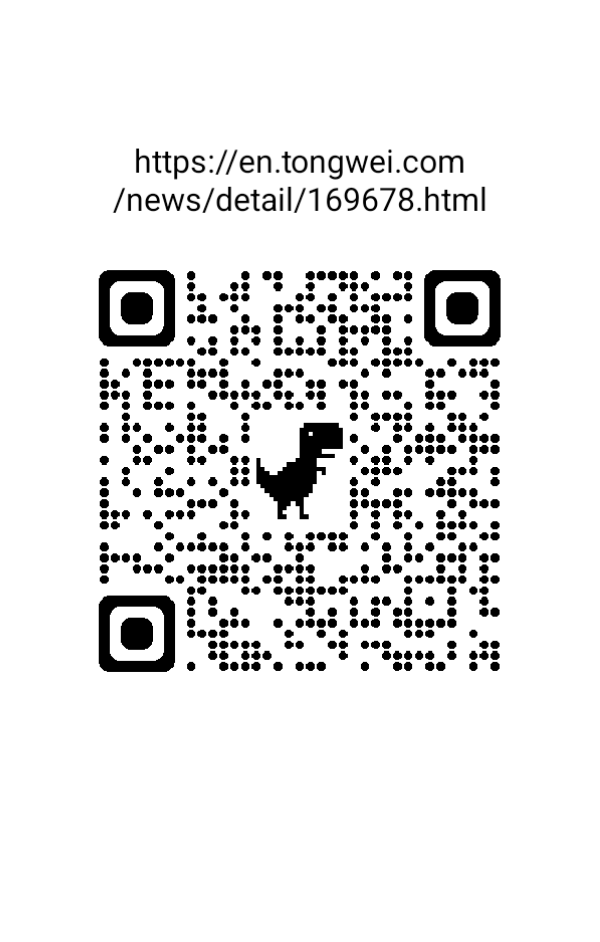 FestilaOvidiu's tweet image. &quot;The 2025 the 8th China Internat[.]c-Si PV Production Base Grandly Held&quot;(source of this written material and photos from this post➡️site en.tongwei.com).🙂☀️👏👏👏👍👍👍,🟢 #2025the8thChinaPESIC #TongweiSolar 🥇✌️, #AwardCeremony 🏆🏆🏆 #NightofMeishan 🟢 @Tongwei_Solar