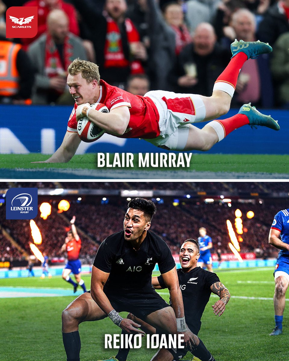 BKT United Rugby Championship (URC) tweet media