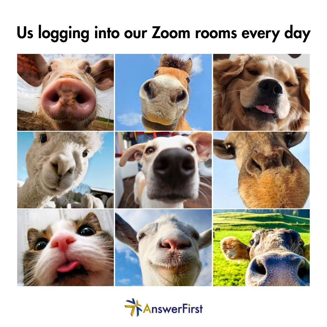 answerfirst's tweet image. Goooood morning 🤗 

#AnswerFirst #Zoommeeting #WFH