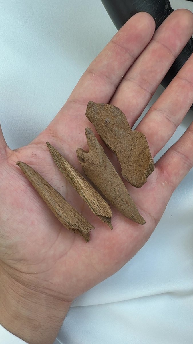 حصاد اليوم والله يا هو عود عود