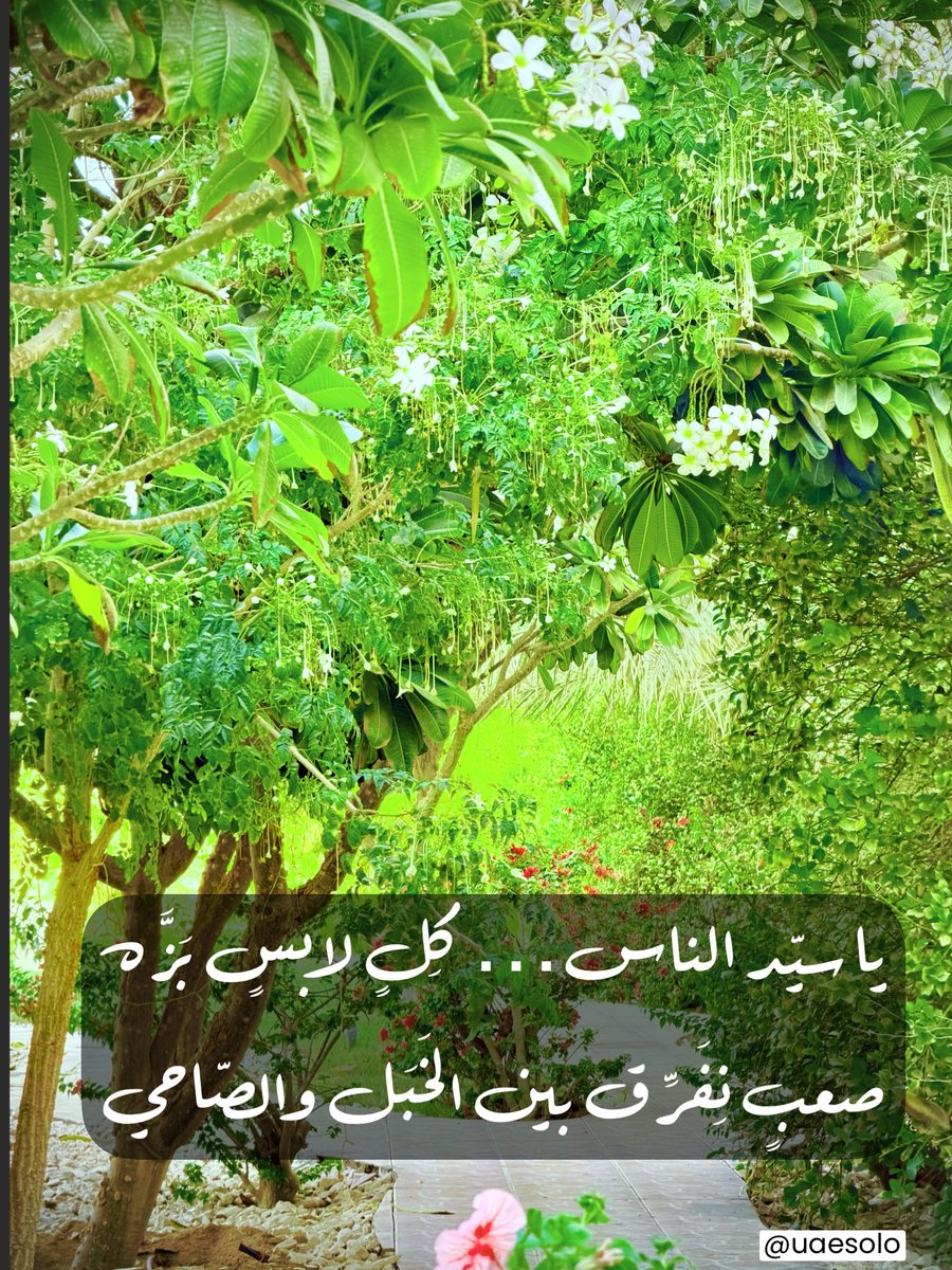 يا سيد الناس ، كلن لابس (بَزَّه) ....
صعب نفرق بين الخبل والصاحي ...

البدر