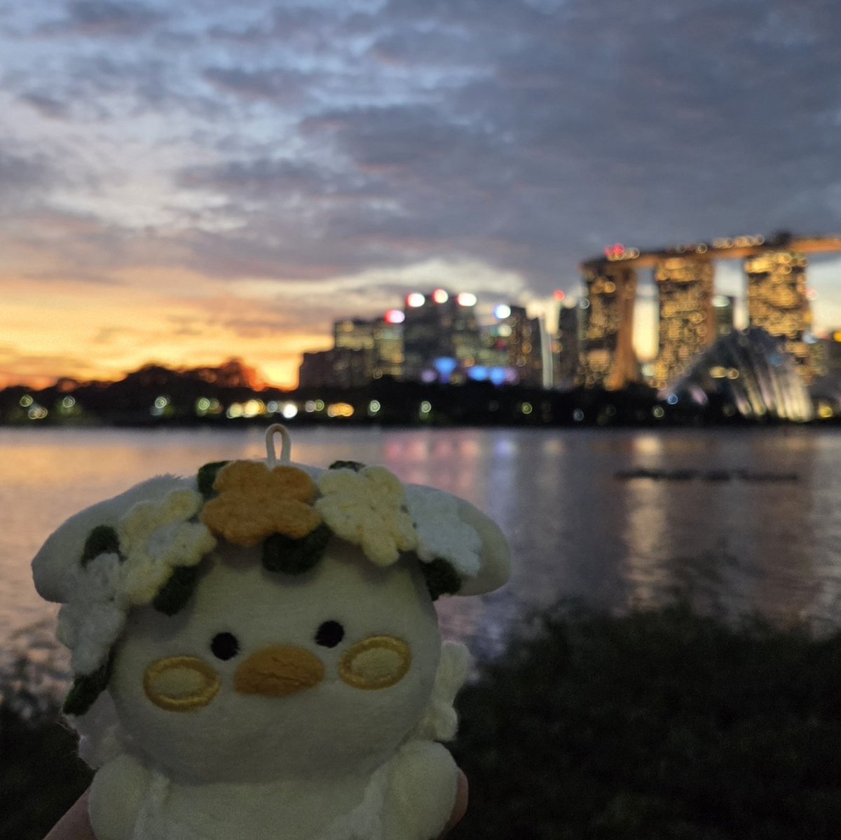 kimjyans's tweet image. 미뭉이랑 친구돈이의 시티워크🌇
걸으면서 노을을 보고 있으니까 너무 힐링 조아😊🍃

@jaehwany0406 오늘 하루도 수고 많았어요! 따뜻하고 편안한 밤이 되시길 바래요💛 사랑해애앵 💛