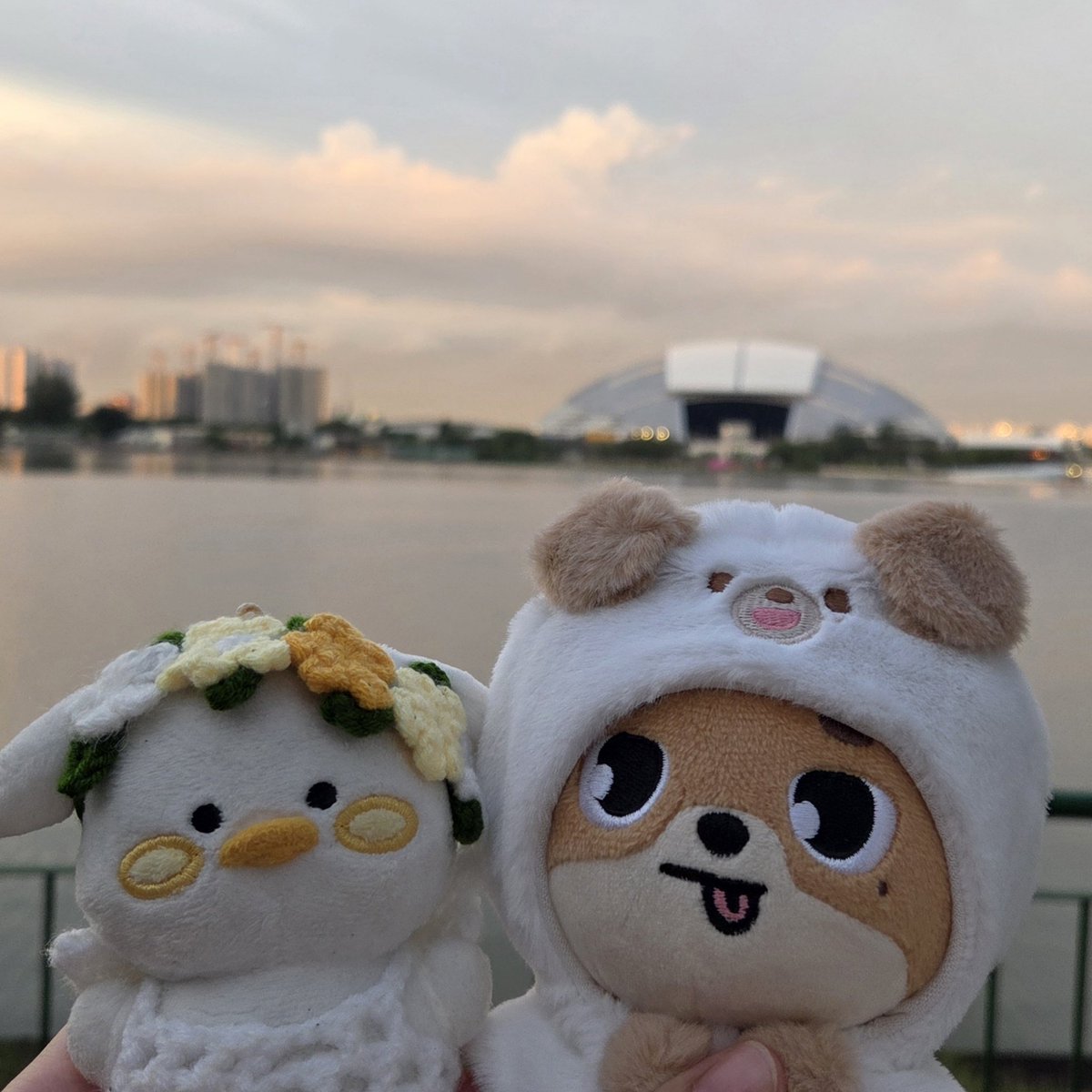 kimjyans's tweet image. 미뭉이랑 친구돈이의 시티워크🌇
걸으면서 노을을 보고 있으니까 너무 힐링 조아😊🍃

@jaehwany0406 오늘 하루도 수고 많았어요! 따뜻하고 편안한 밤이 되시길 바래요💛 사랑해애앵 💛