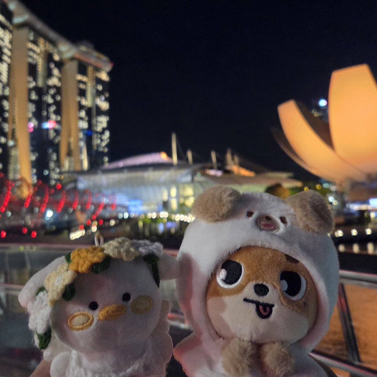 kimjyans's tweet image. 미뭉이랑 친구돈이의 시티워크🌇
걸으면서 노을을 보고 있으니까 너무 힐링 조아😊🍃

@jaehwany0406 오늘 하루도 수고 많았어요! 따뜻하고 편안한 밤이 되시길 바래요💛 사랑해애앵 💛