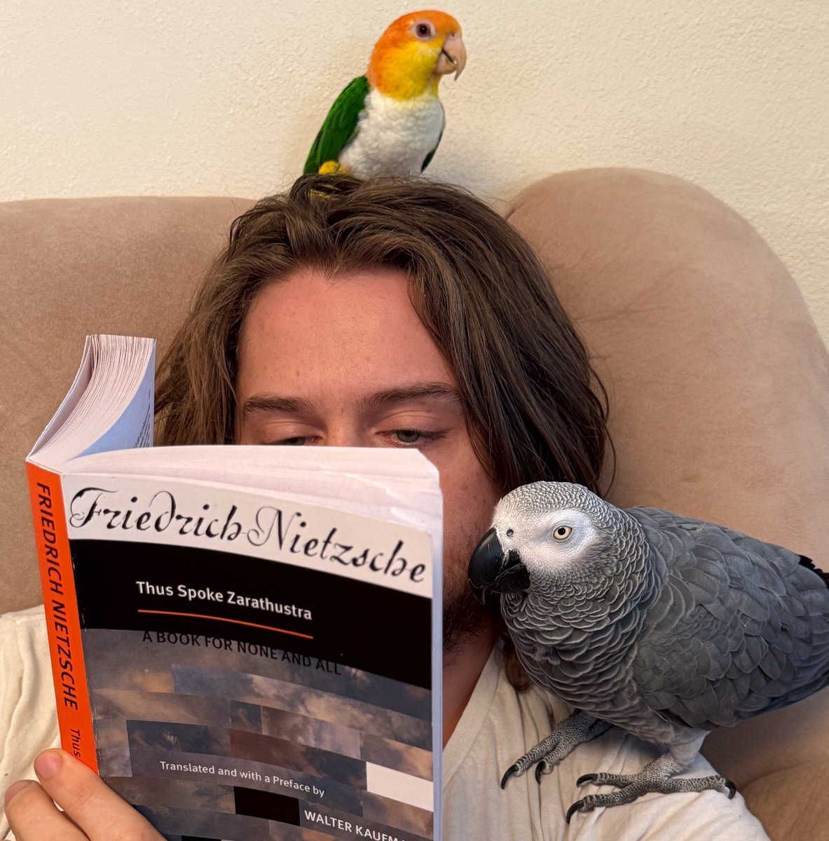 Miyon様⭐︎ Dyemaxion (@dyemaxion48643) / Posts / X