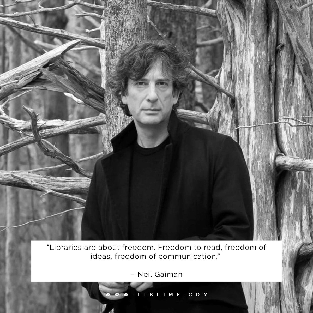 LibLime's tweet image. 🗝️ Libraries are more than buildings — they’re gateways to freedom, curiosity, and creativity. Let’s keep them thriving.
#Libraries #FreedomToRead #Education #KnowledgeForAll