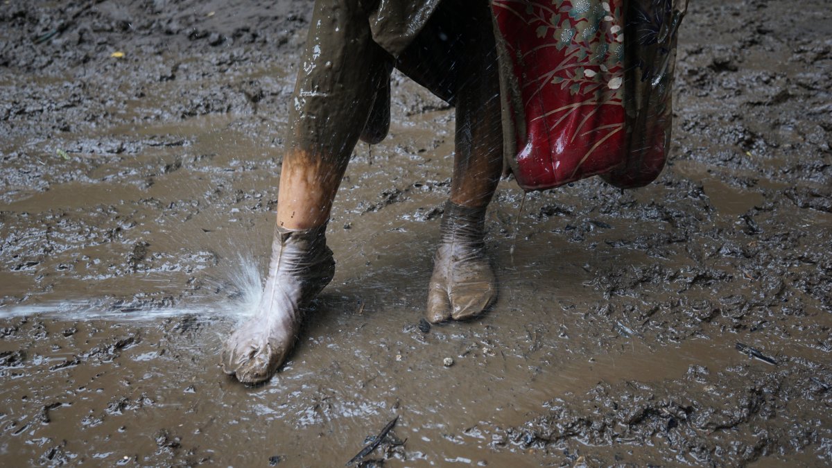 今年の最傑作だと思ってる一枚