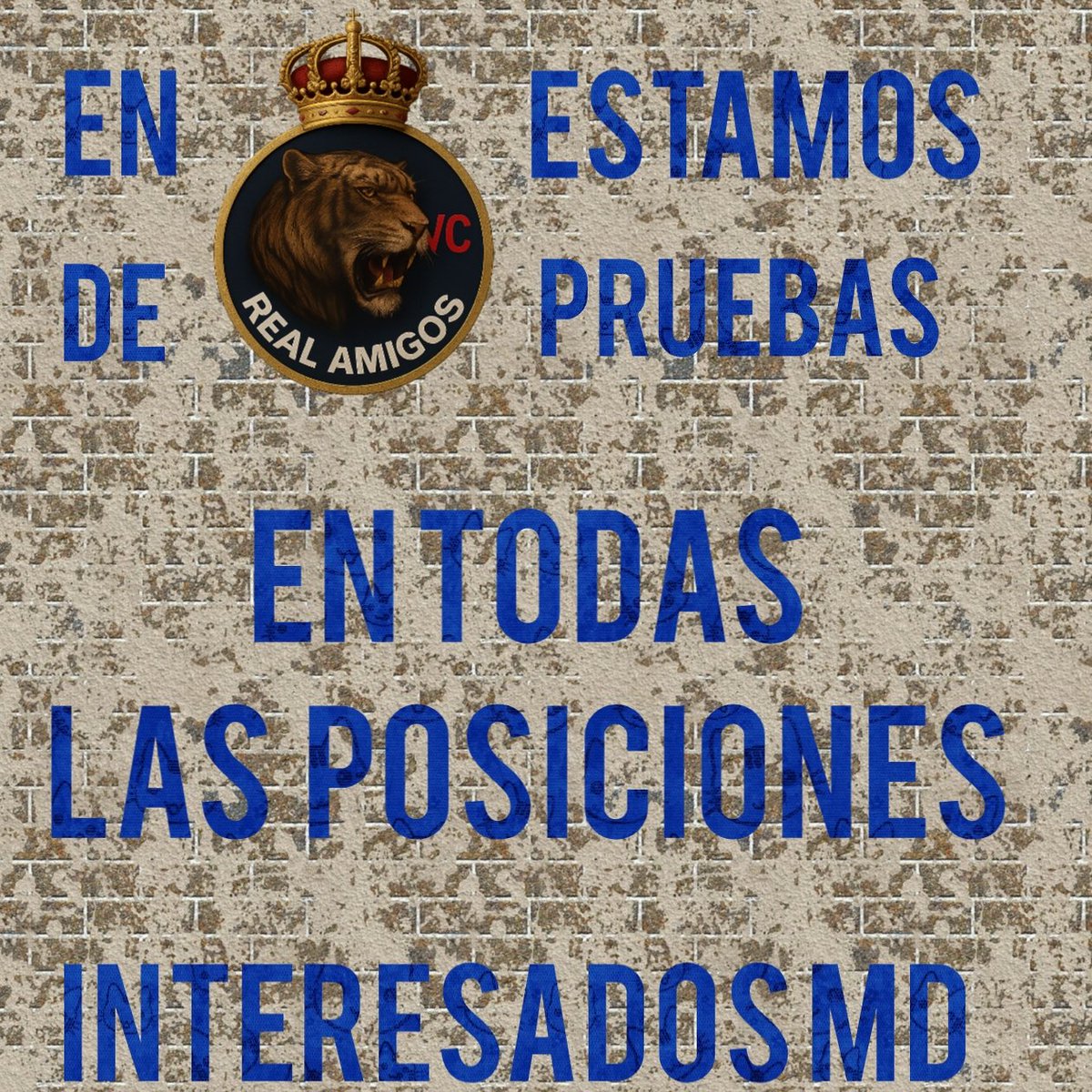 Real Amigos VC tweet media