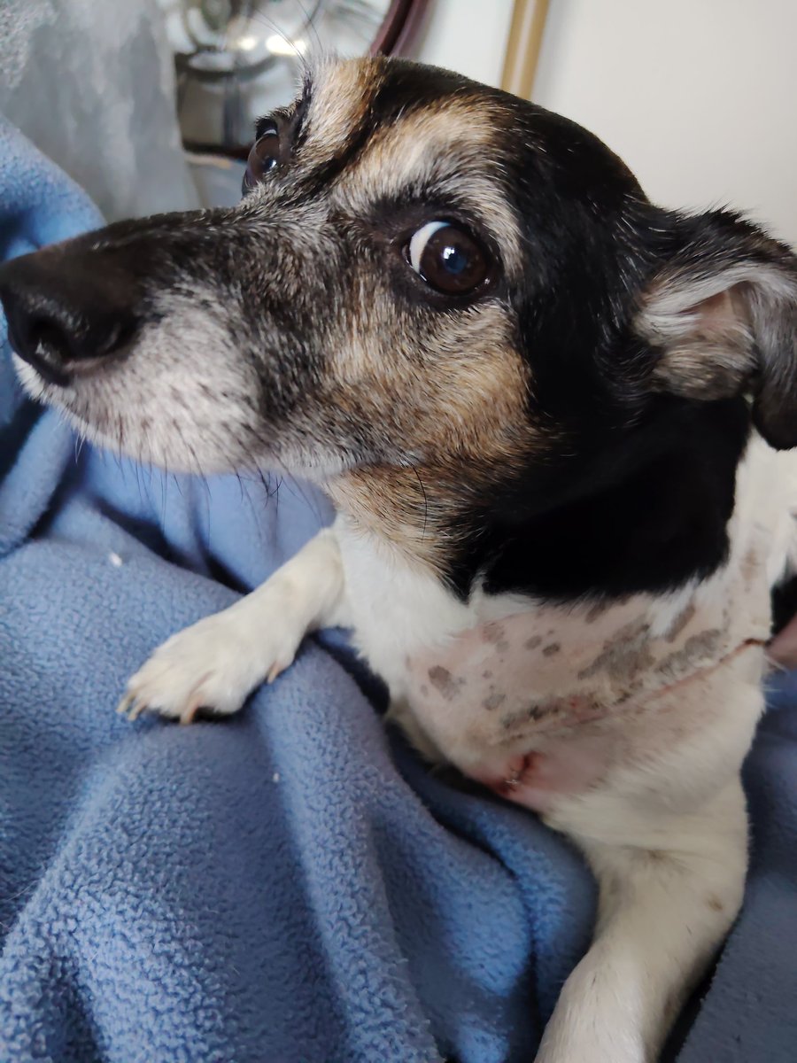 🇨🇵 Dédé 🇫🇷♿ tweet media