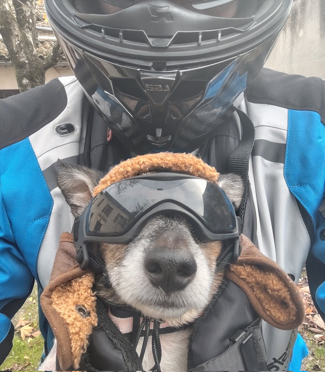 🇨🇵 Dédé 🇫🇷♿ tweet media