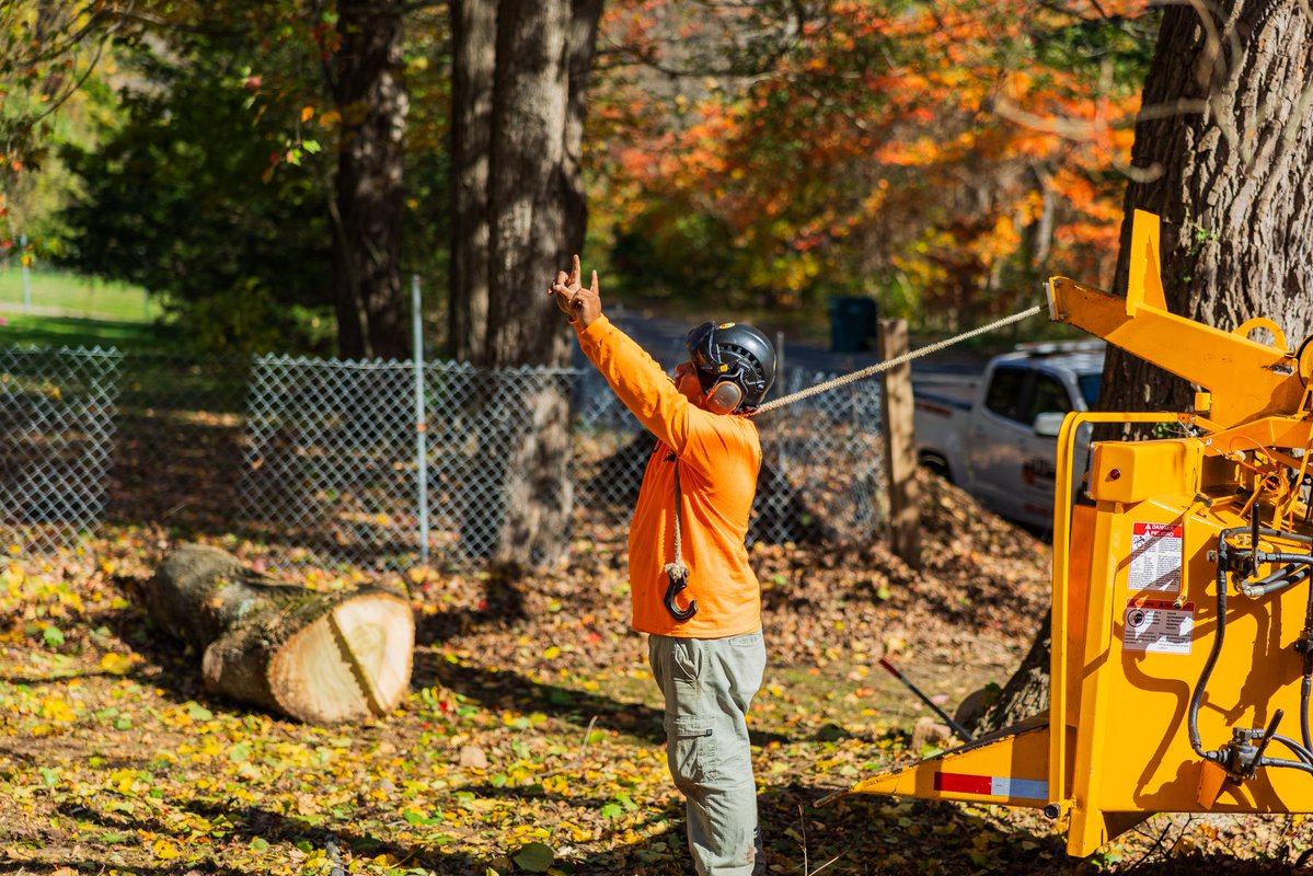 KJTreeService's tweet image. Almosttttt Fridayyyyyy🤩🤩🤩🤩 Give us a call today and we will send one of our licensed arborists to your property to give you a FREE tree risk assessment!! 
-
-
-
#FallCleanup #HelloFall #AutumnLeaves #LeafCleanup #FallSeason #SeasonalCare #YardWork #AutumnVibes #OutdoorCleanup…