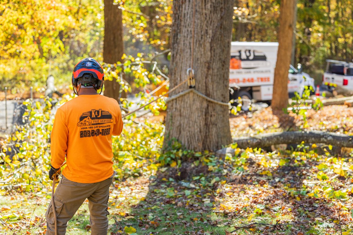 KJTreeService's tweet image. Almosttttt Fridayyyyyy🤩🤩🤩🤩 Give us a call today and we will send one of our licensed arborists to your property to give you a FREE tree risk assessment!! 
-
-
-
#FallCleanup #HelloFall #AutumnLeaves #LeafCleanup #FallSeason #SeasonalCare #YardWork #AutumnVibes #OutdoorCleanup…