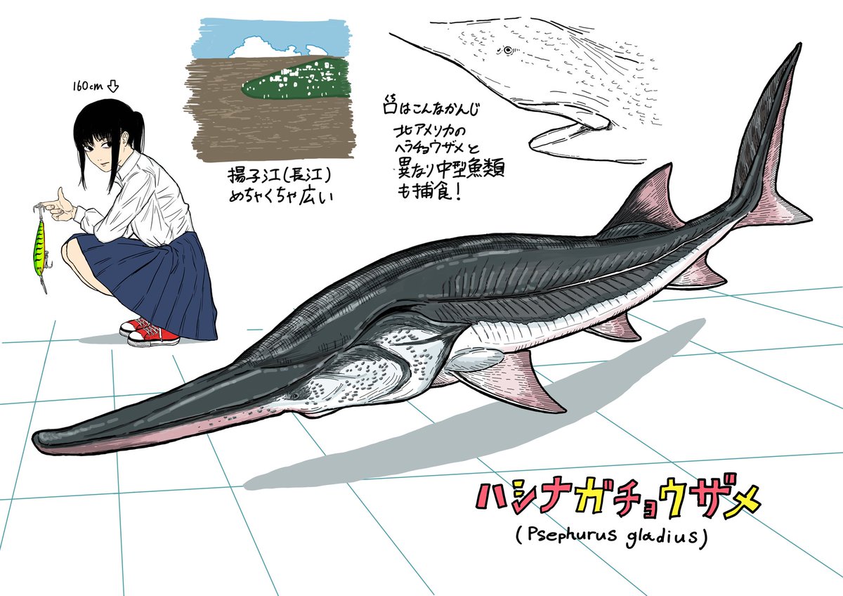 ジンベエー (@NZSjIFiJi8eDWdD) / Posts / X