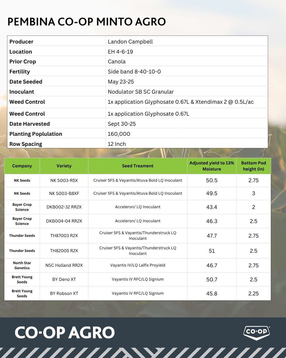 Our 2025 trial numbers are here, starting with soybeans. 
A quick look at how each variety performed in local conditions.

#Harvest #Soybeans #Bayer #ThunderSeeds #NorthStarGenetics #BrettYoung