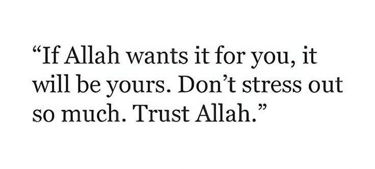 umemaryam041's tweet image. 