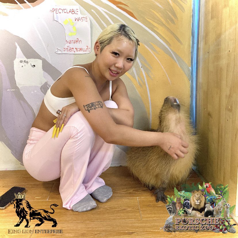 Porsche_shop99's tweet image. น้อนฟินนนมากกกก 😆

So adorable 😍🥰


#porscheexoticzoo  
#porscheexoticzooadmin  
#capybaras  
#คาปิบาร่า  
#สัตว์แปลก