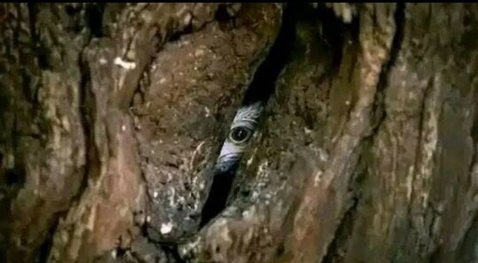 irolinboy__'s tweet image. “When you brush on top”

HIV:😂😂😂😂