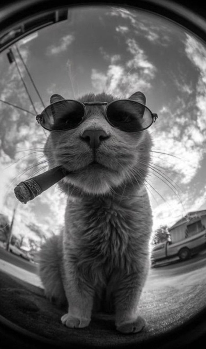 ツ  Bu Kadar Ayrılık Çok Gelir Dedim , 
Sizleri Özledimm Geldimmm En Çokta 
Neşeli , Huzurlu Kendimi Özledim😏🫡
Herkeze 👉 #iyiakşamlar ⭐️🌙💛💙🌿
💛🙋‍♀️<a href="/Adelcan1635/">𝑀𝑟𝑠.𝑆𝐴𝑅𝐼🙋🏼‍♀️💛💙</a> 🙋‍♂️💙🫶🧿🧿🧿