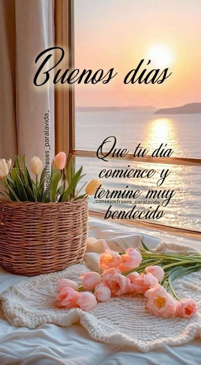 Bendecido día 🙏🏼!!!