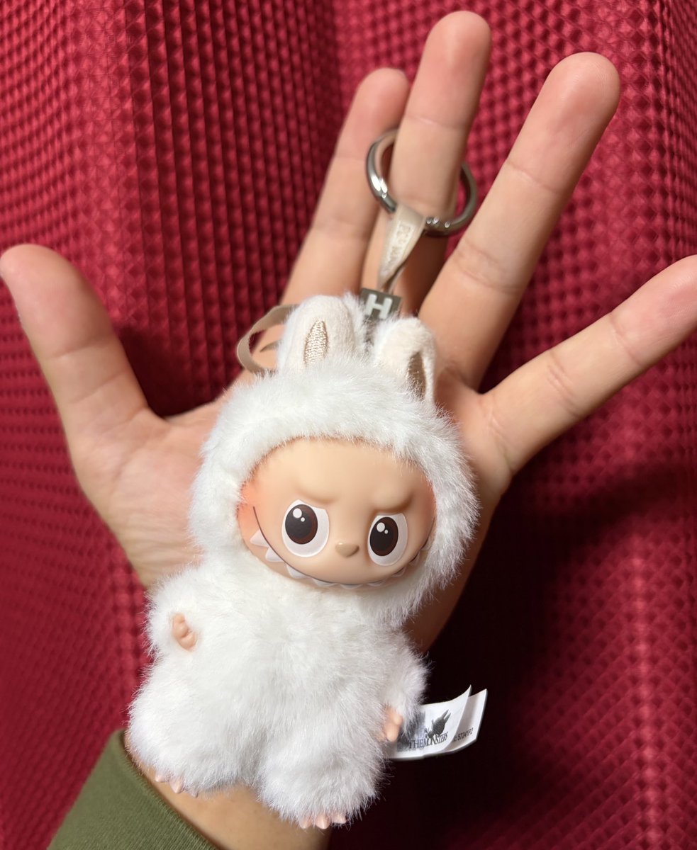 ラブブを手に入れたばい🐰

プレゼントで箱のままいただいて
ランダムに出てくる中で
たまたま「H」が出てきたと🥳

HirotakaのH👏
いざ自分が持ってみるとかわいい笑
#1日1回方言ツイート