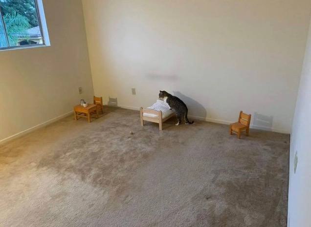 379Talks's tweet image. وقتی تصمیم به این میگیری که رو پا خودت وایستی و استقلال مالی داشته باشی، این روزا رو هم باید بگذرونی 👇