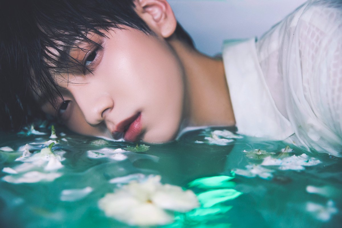 OUR2NE's tweet photo. ㅤ

ㅤ  ㅤ𓋰 𖥧𖤣ㅤ ㅤ𝐒𝑶𝐋𝑶𝐓𝐀𝐋𝐄𝐒     ㅤ𖤣𖥧 𓋰
ㅤ  ㅤ𝗜𝗥𝗜𝗫ㅤ  ⛶  ㅤSØLO CÕLLECTIØN

ㅤ   ㅤ ㅤㅤ𝙋𝙃𝙊𝙏𝙊 𝘾𝙊𝙇𝙇𝙀𝘾𝙏𝙄𝙊𝙉
ㅤ  ㅤ────────────────────┈
ㅤ  ㅤED ㅤㅤ   ✶  ㅤ ㅤTO REACH YOU
ㅤ  ㅤ┈────────────────────

ㅤ https://t.co/mlwNtcIVER