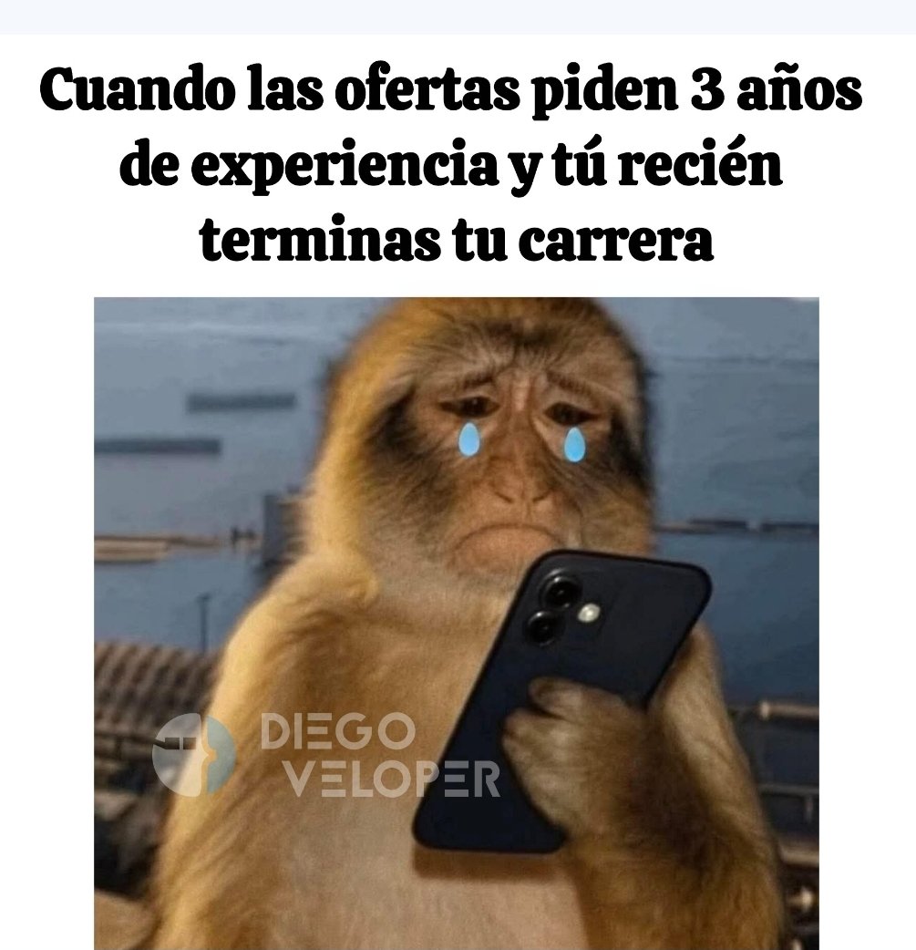 memeveloper's tweet image. 