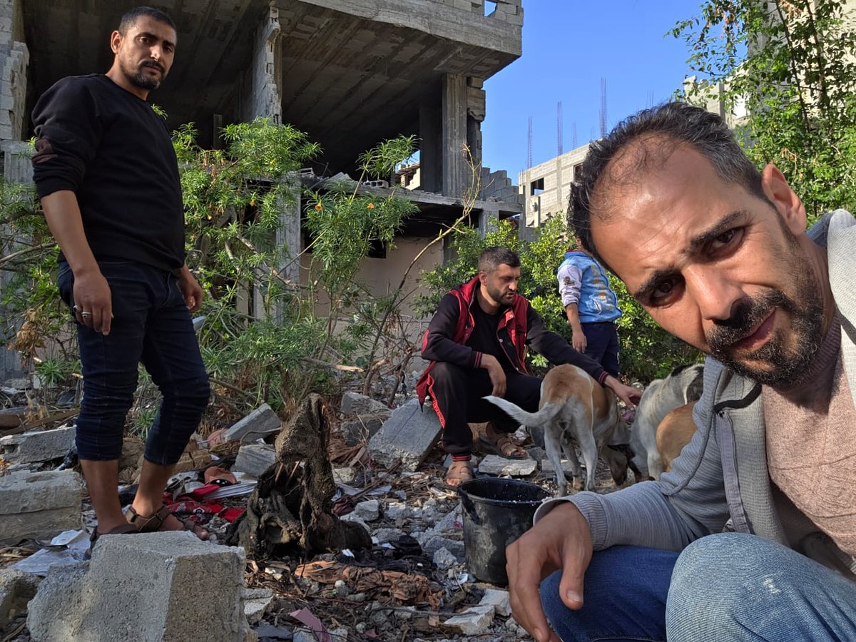 Hishamsousi's tweet image. 🐾🆘My friends everywhere around the world, here are these innocent, poor souls who survived the brutal war we endured. Thanks to you and your generous donations, we are able to provide them with healthy food.Thank you all for your kindness, my friends.🙏paypal.me/HishamSousi🐕