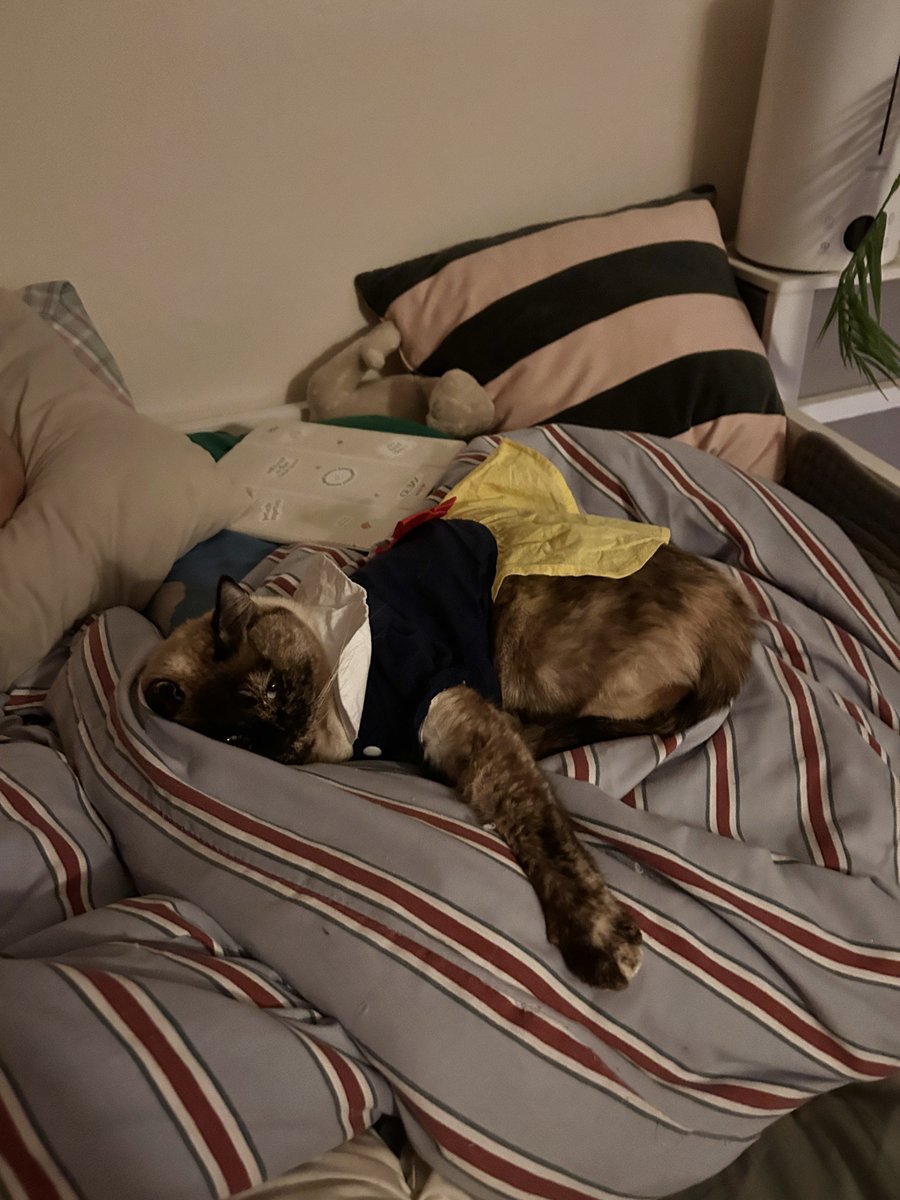 24 องศา ชีนอนทั้งวัน