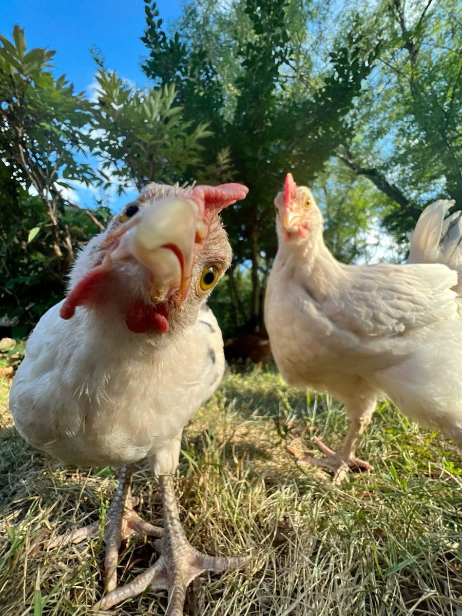 doomedbytheplot's tweet image. It&apos;s just one of those days when you don&apos;t wanna wake up, everything is fucked! everybody sucks!