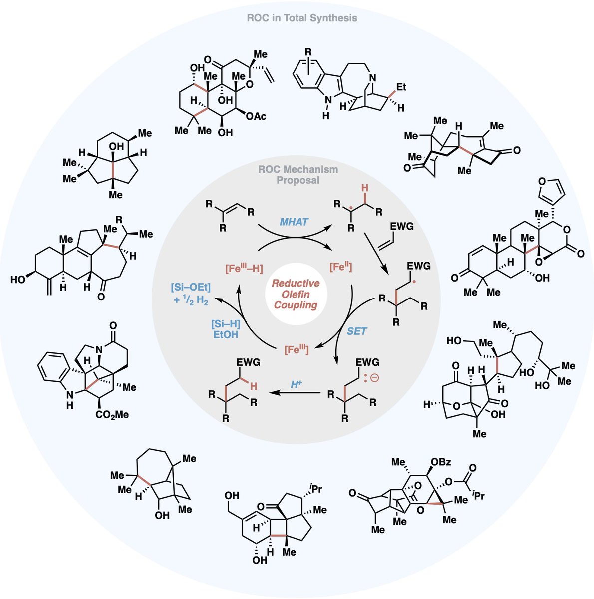 BaranLabReads's tweet image. Radical Retrosynthesis of Natural Products Enabled by Iron-based Reductive Olefin Coupling. Published today in @ChemRxiv : chemrxiv.org/engage/chemrxi…