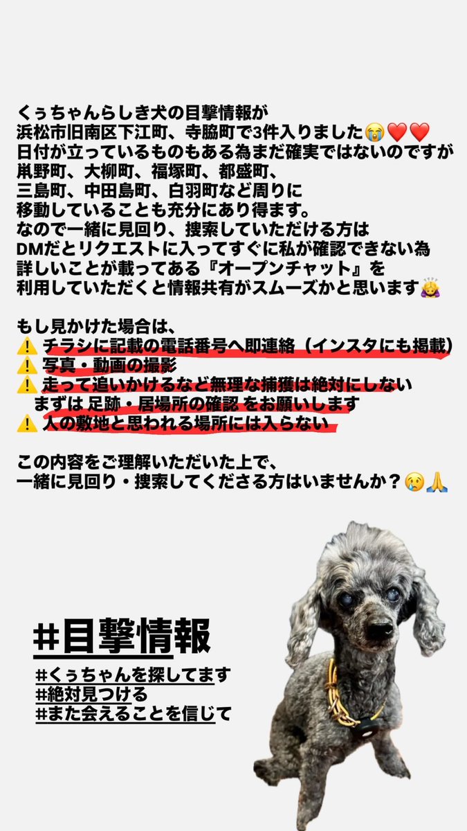 Vivi02064310's tweet image. くぅちゃんらしき犬の目撃情報がありました😭🙏
詳しくはインスタ @shizuka_raise に記載しています。浜松市周辺で捜索の協力をいただける方、インスタのピン留めしてあるバーコードからオープンチャットに入り情報共有にご参加いただけると助かります。
#迷子犬 #浜松市 #迷い犬　#目撃情報