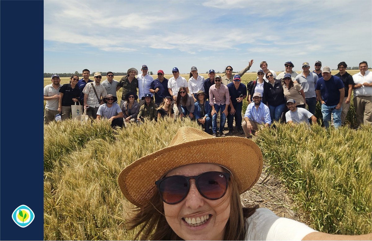 🌾 #AAPPCEentuZona: en el lote y con la mirada de todos.

El punto de extensión del Nodo Oeste de Bs. As. salió a recorrer ensayos de trigo en América (Rivadavia) direccionados por <a href="/OdSagro/">Ojos del Salado</a> 👉 genética, control de enfermedades, carry over y nuevas tecnologías.

¡Excelente!