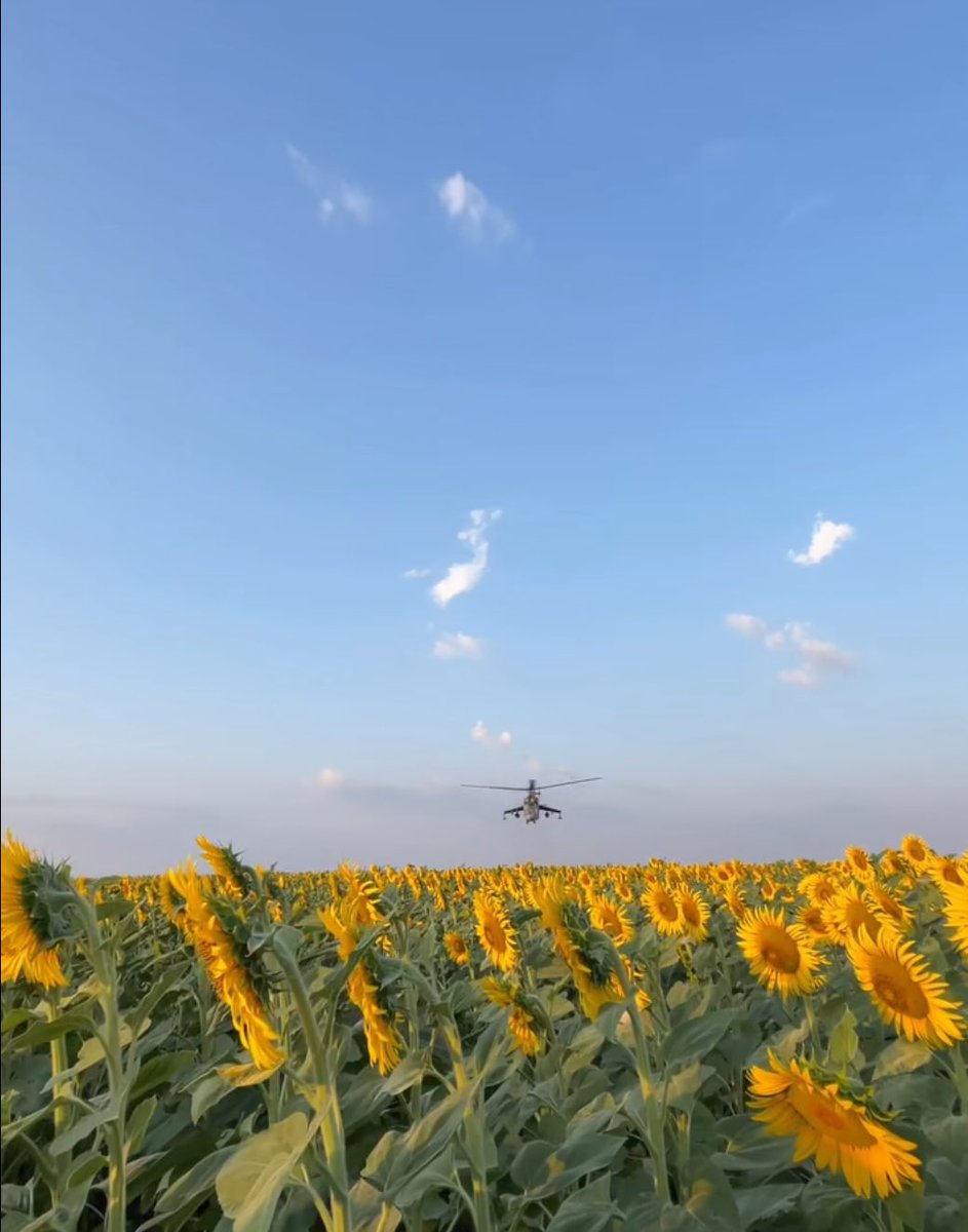 SimpleHorn's tweet image. Good morning. Pokrovsk still stands. Ukraine still fights.