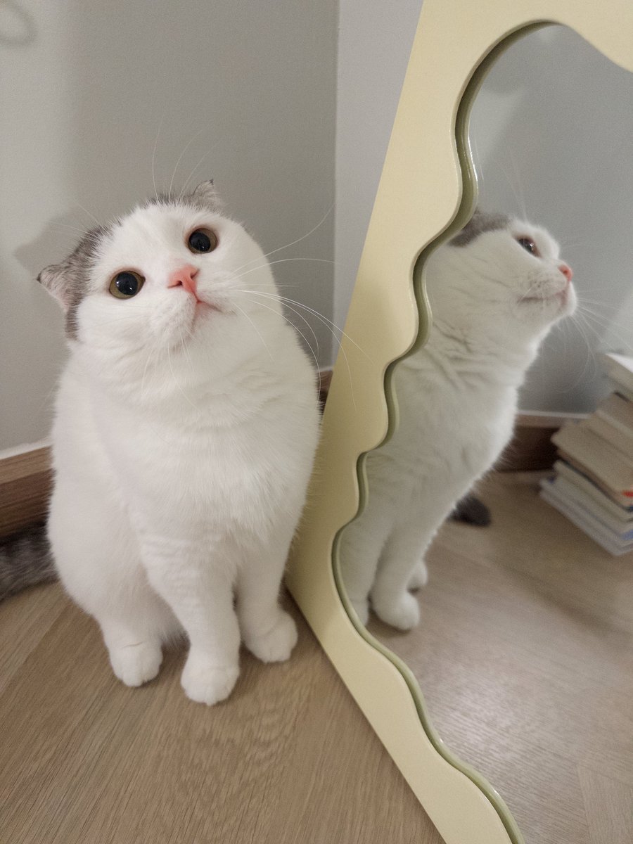 jiewliewnjiggo's tweet image. ลูกชิ้นหมูเด็กกก