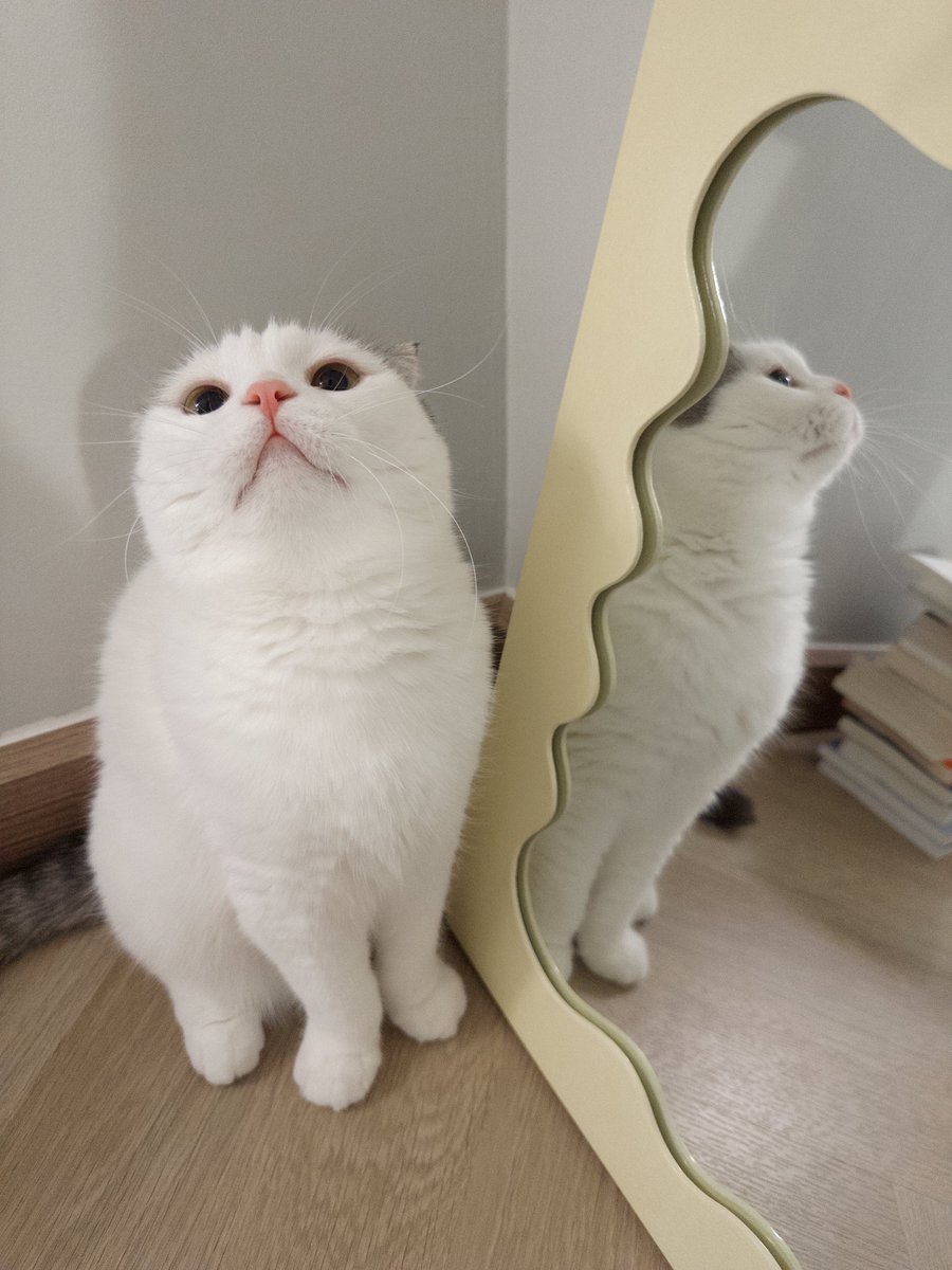 jiewliewnjiggo's tweet image. ลูกชิ้นหมูเด็กกก