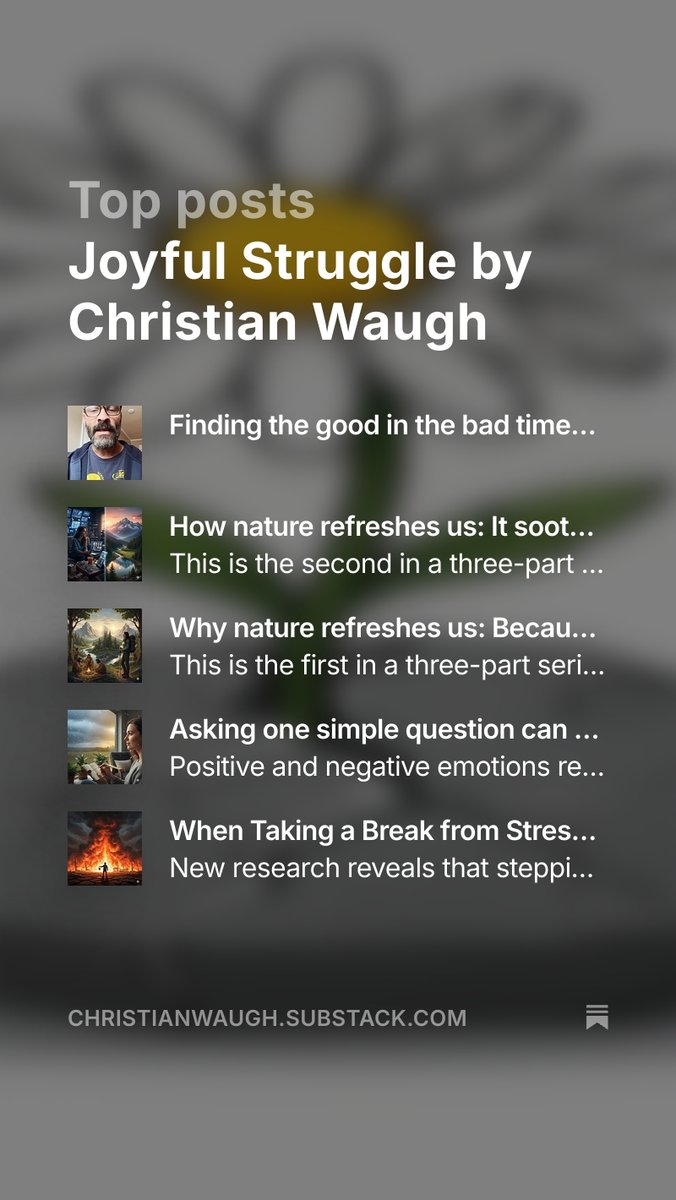 Christian waugh tweet media