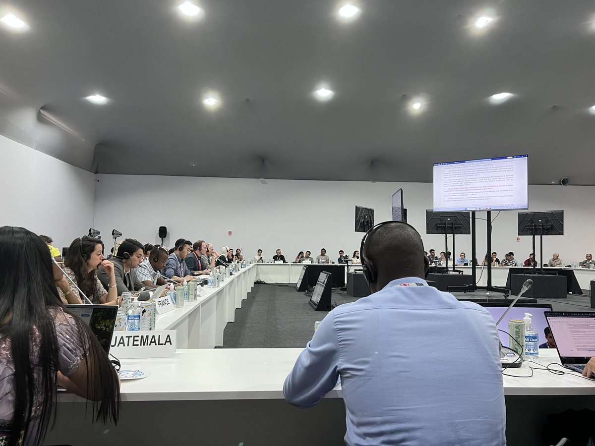 radicalxrad's tweet image. China just voiced its full support to contribute to a fund intended for Local Communities and Indigenous Peoples Platform (LCIPP). Big step of acknowledgment of IPLC globally, though it seems contributions to this fund will still be voluntary in nature. #COP30 @ClimateBlue