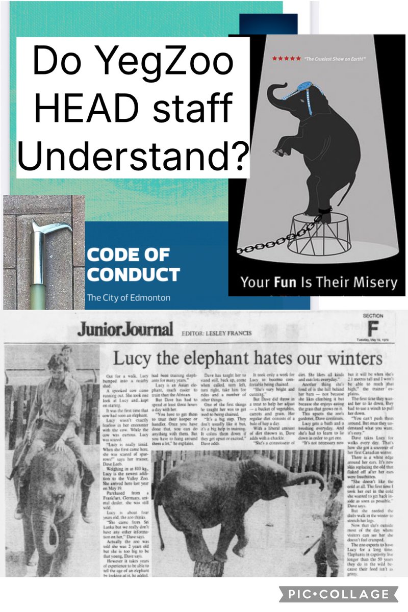 YvonneHooper20's tweet image. ⚖️  @AndrewKnack the Mayor 
will he be True to his vast election 🗳️ promises &amp;amp; Stand for Justice 

Or like others before him

Fail &amp;amp; fall for anything the rotten core of city management dictates. 
 #TimeforTruth ⚠️👇🐘