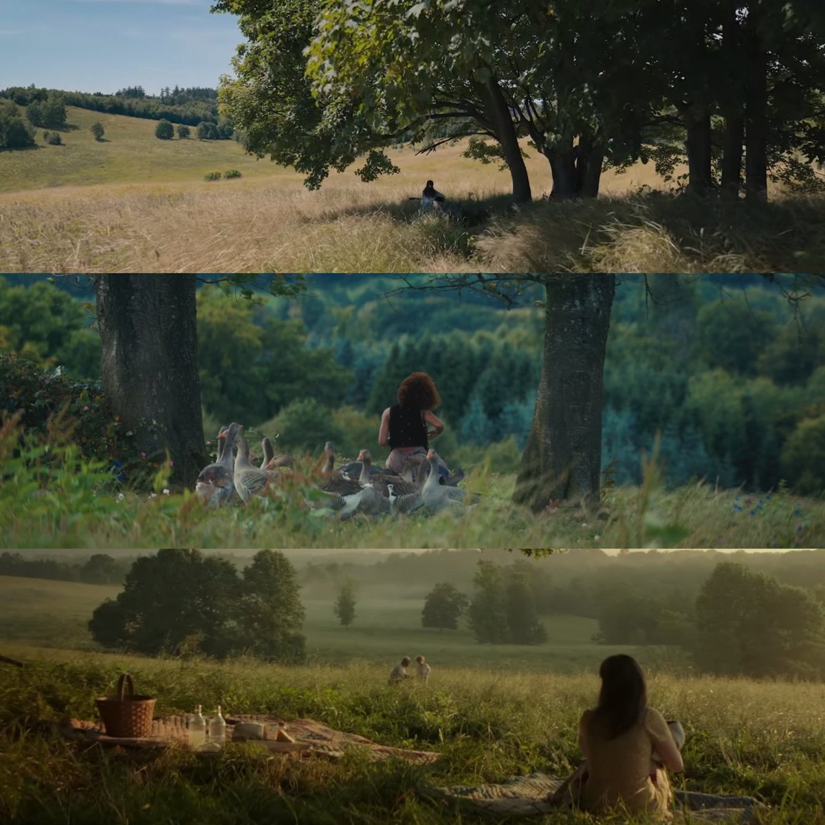 zeglerss's tweet image. something about the night changing...