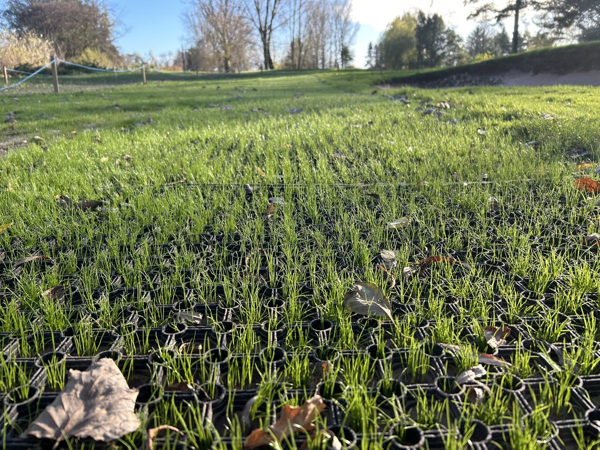MarkSim93794378's tweet image. Walkway project on our 5th hole is progressing well, seed now establishing and rubber mat is slowly disappearing 👊

#winterprojects #busyteam @MonmouthshireGC