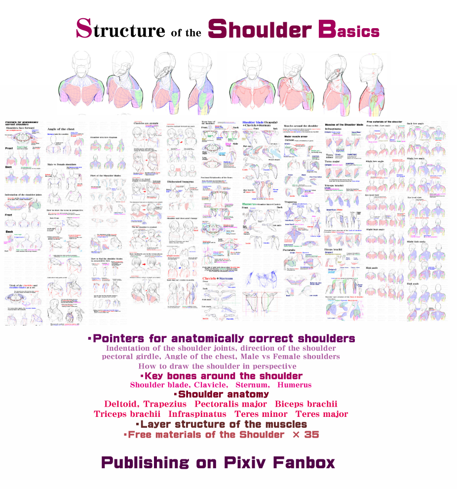 MangaMaterials2's tweet image. PERSONAL NOTE: Neck and Shoulder Area

Structure of the shoulder basics
Patreon
patreon.com/posts/structur…
FANBOX
mangamaterialsen.fanbox.cc/posts/308037

Shoulder : Summary of the common mistake and the correcting method
Patreon
patreon.com/posts/shoulder…
FANBOX
mangamaterialsen.fanbox.cc/posts/442904

#arttutorial