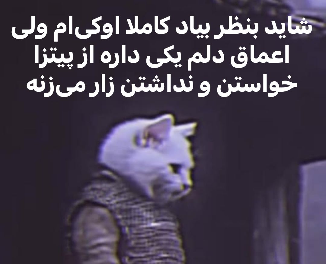 379Talks's tweet image. 