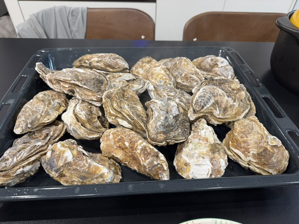 020美女野兽（男女同号） tweet media