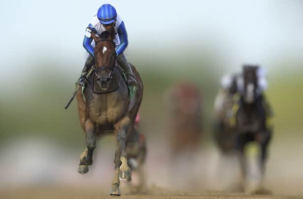 Division rankings: <a href="/DoctorDerby/">Chip Gehrke</a> explains why Book'em Danno should prevail in the Eclipse vote

horseracingnation.com/blogs/Doctor/D…

📸: NYRA / Coglianese Photo - edited