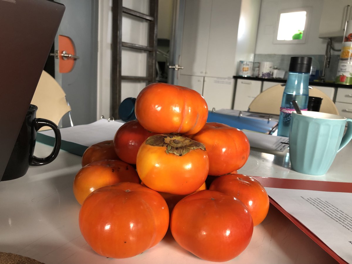 TheMarsSociety's tweet image. Crew 323 is busy on the ground at #MDRS this week — conducting EVAs, collecting rock samples, growing veggies, exercising &amp;amp; enjoying a meal with their crewmates. A full Mars analog experience in Utah! #marsanalog @CUBoulder #stem #utah #themarssociety