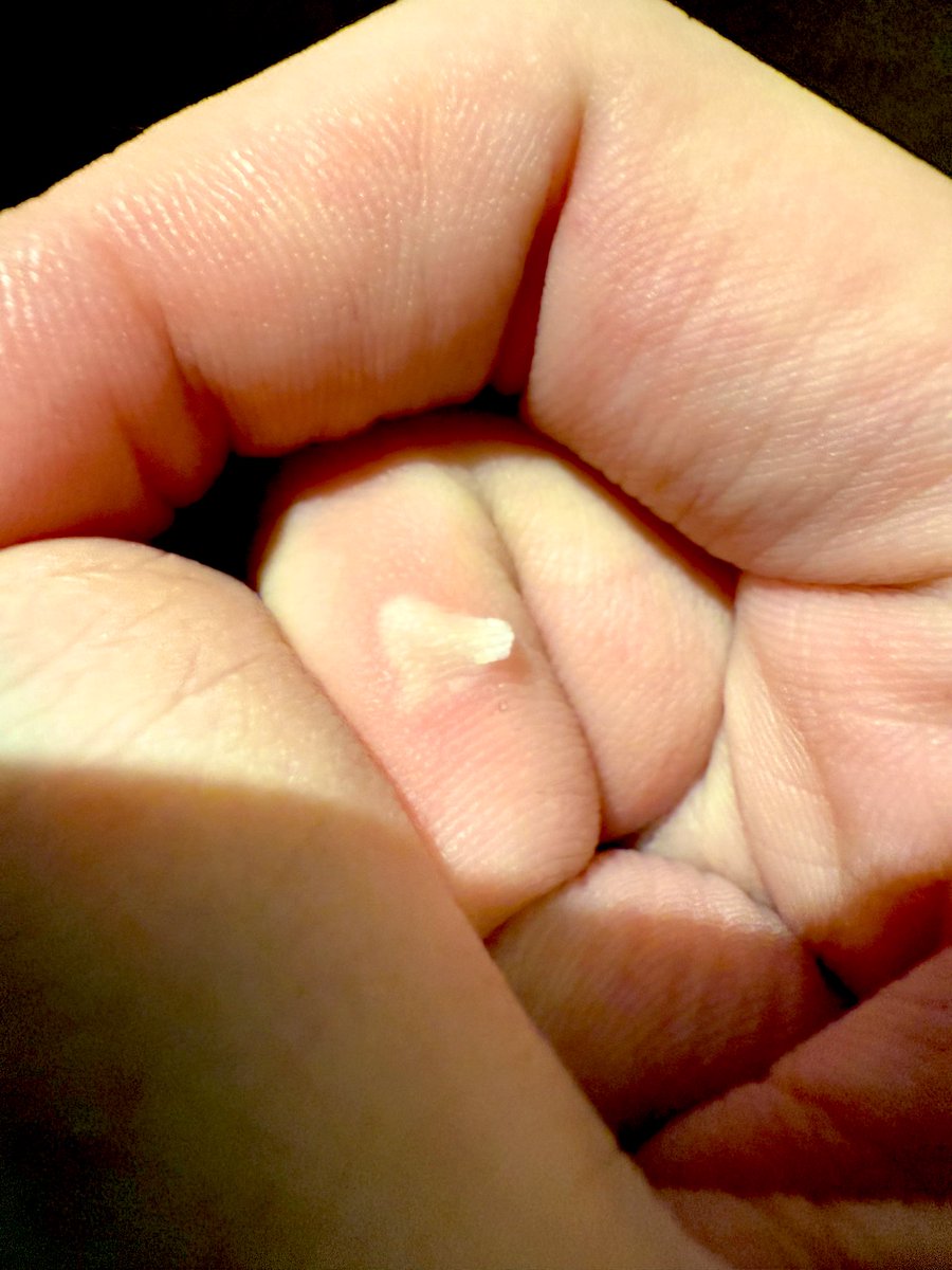 basjtr's tweet image. แมะค้าบบ เสกคาถาเป่า พ่วง พ่วง ให้หน่อยได้ไหมค้าบ🥹 #BbasKingCup2025