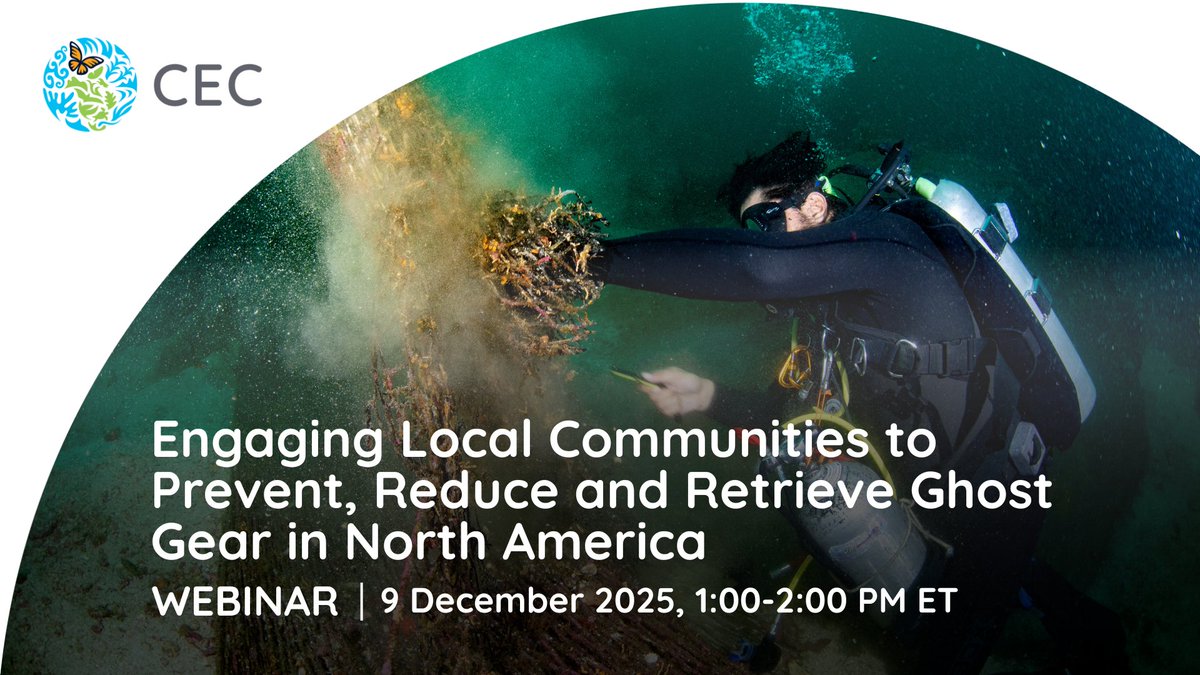 CECweb's tweet image. 🌊🎣Join us for our webinar on Engaging Local Communities to Prevent, Reduce and Retrieve Ghost Gear in 🇨🇦🇲🇽🇺🇸

📌 9 Dec.
⏰ 1-2 PM ET
📸Leonardo Gonzalez/Ocean Conservancy

Don’t miss out and register today!
👉cec.org/events/ghost-g…